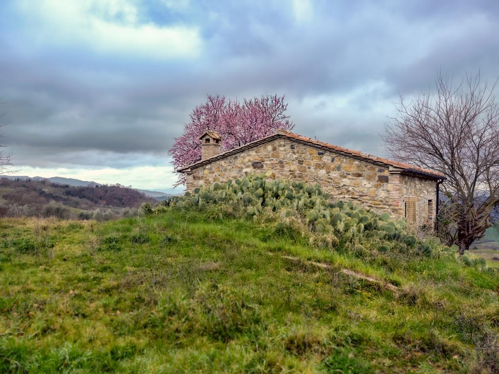 Agriturismo Le Canterie Radicondoli Екстер'єр фото