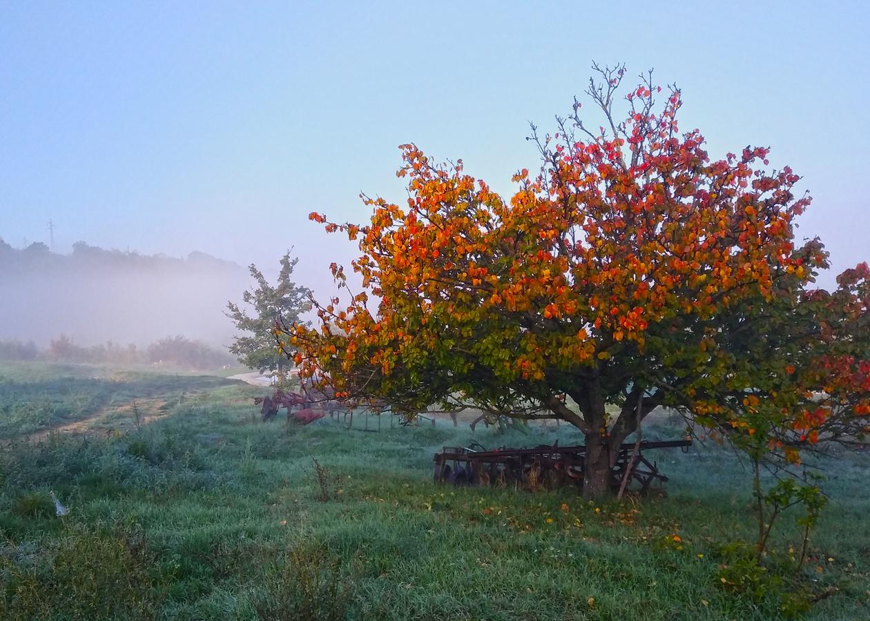 Agriturismo Le Canterie Radicondoli Екстер'єр фото