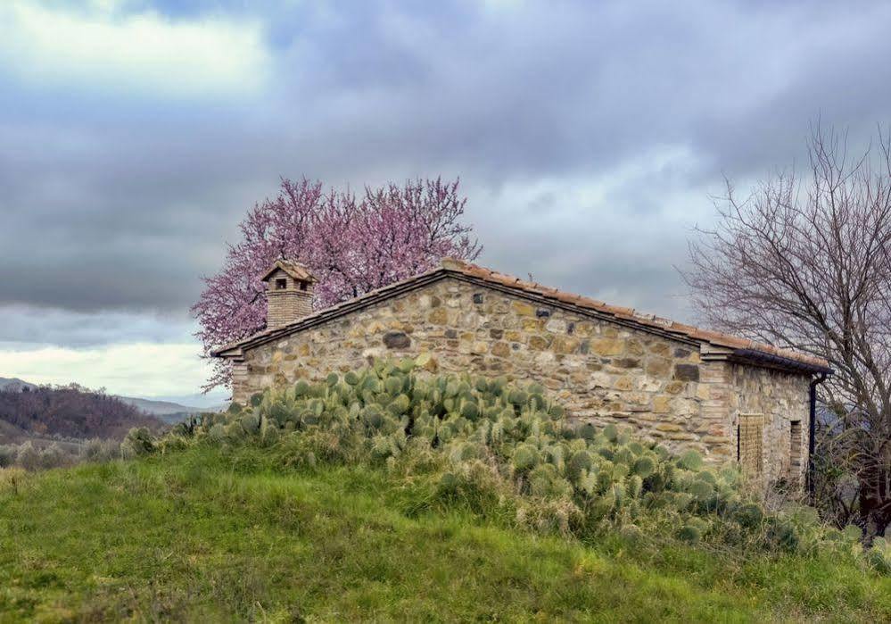 Agriturismo Le Canterie Radicondoli Екстер'єр фото